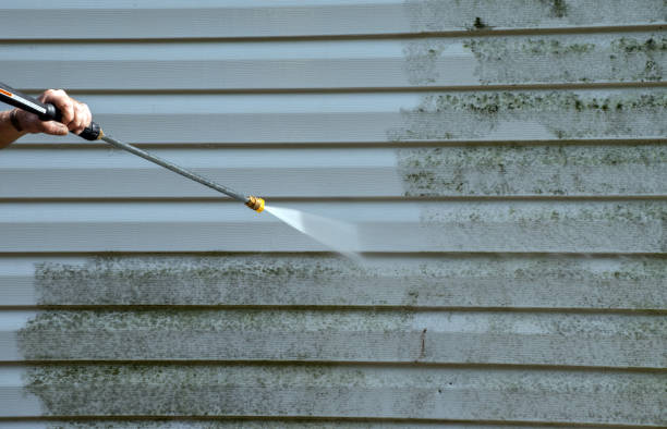 Professional Pressure Washing in Weber City, VA